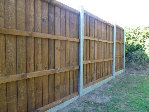 Example of a modern construction (but tradional-style) wooden garden fence, lightly treated, with concrete posts. Norfolk, England, UK.
