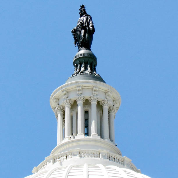 istock Washington Capitol top of dome 2013 820752354