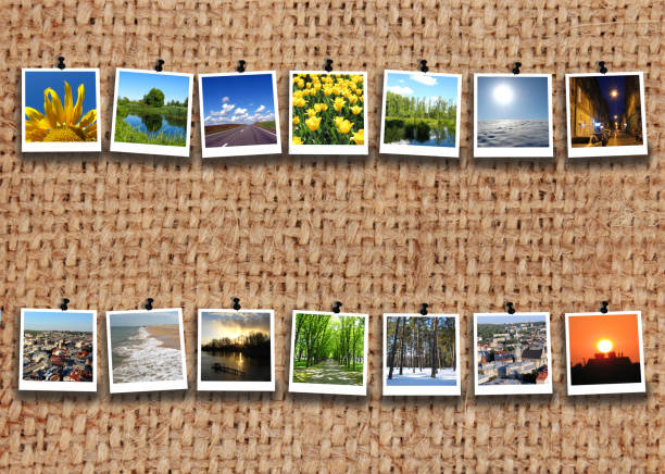 istock two rows of motley images on the sacking 820756226
