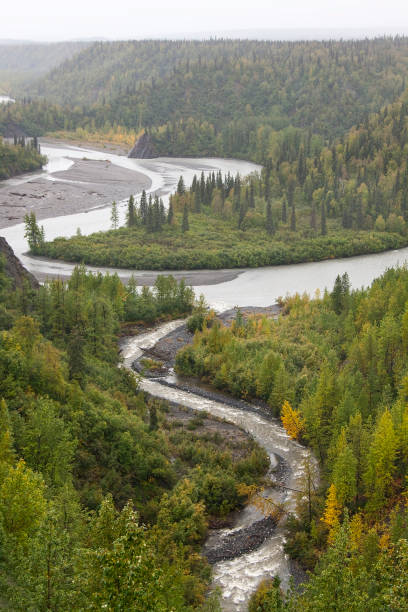 Mountain Stream Mountain Stream near Talkeetna, Alaska. talkeetna mountains stock pictures, royalty-free photos & images