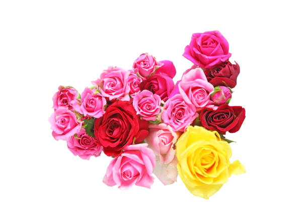 istock Bouquet of rose 820762998