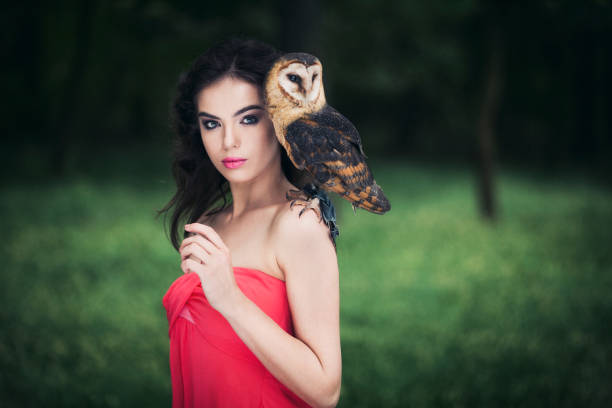 フクロウと美しい女性。 - animal day owl one animal ストックフォトと画像