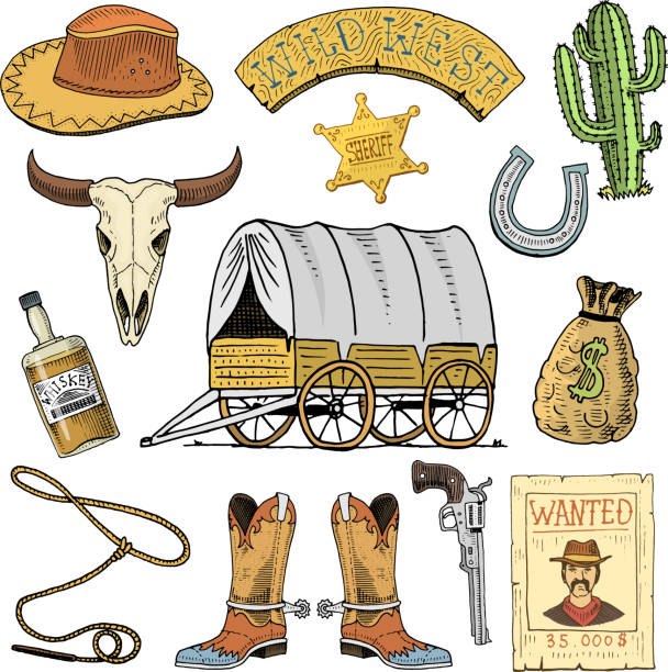 ilustrações de stock, clip art, desenhos animados e ícones de wild west, rodeo show, cowboy or indians with lasso. hat and gun, cactus with sheriff star and bison, boot with horseshoe and wanted poster. engraved hand drawn in old sketch or and vintage style - cowboy wild west silhouette gun