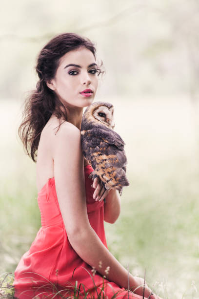 フクロウと美しい女性。 - animal day owl one animal ストックフォトと画像