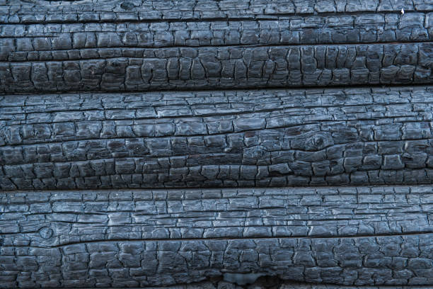 istock background of charred wood 820771422