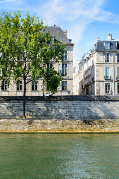 istock The river Seine with poplar trees and typical parisian buildings. 820779080