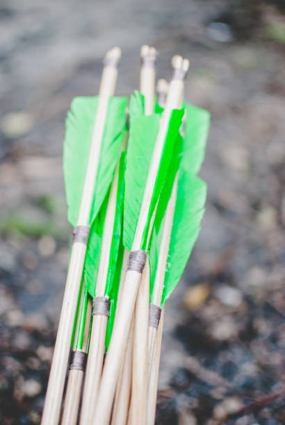 istock Traditional bow wooden arrows with green feathers 820782268