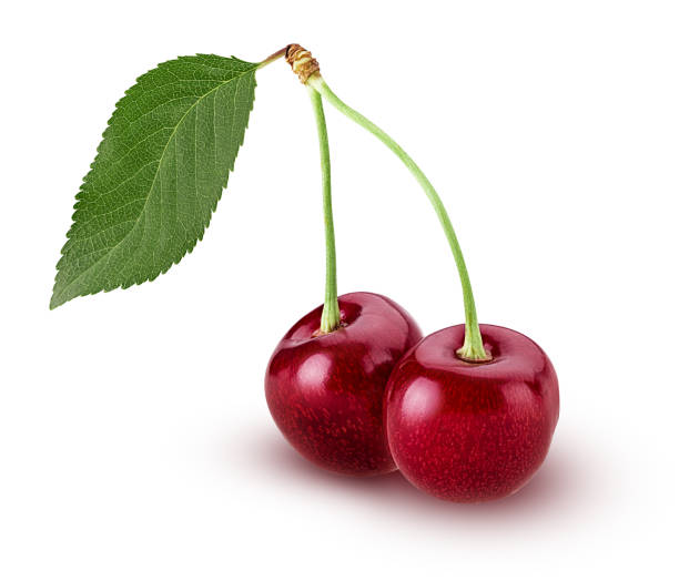 istock Sweet cherry berry, two on a branch with leaf 820782822
