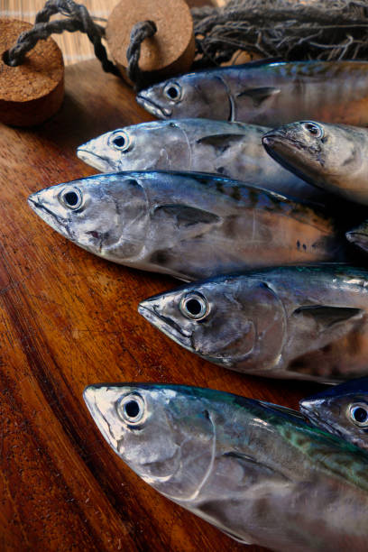 istock Sardines on wooden surface 820790392