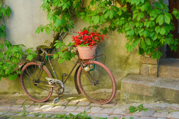 istock Old rusty bicycle with flowers in a basket 820797858
