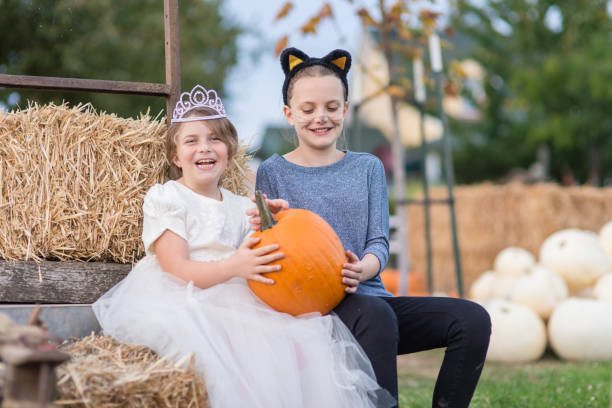 People having fun at the pumpkin farm Young girl is dressed up in a fancy ballroom dress, wearing a tiara, and holding a pumpkin on a farm. Her sister is dressed as a cat. puff ball gown stock pictures, royalty-free photos & images