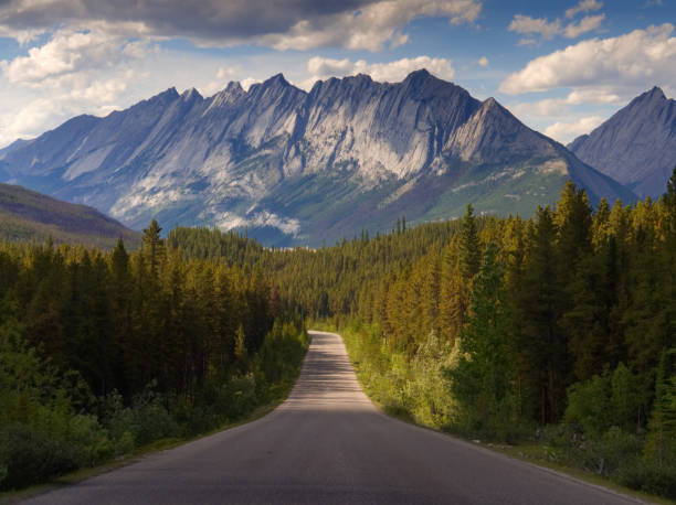 Driving Through Jasper National Park towards the Rocky Mountains Straight Road Heading towards the Canadian Rockies and Forest rocky mountains banff alberta mountain stock pictures, royalty-free photos & images