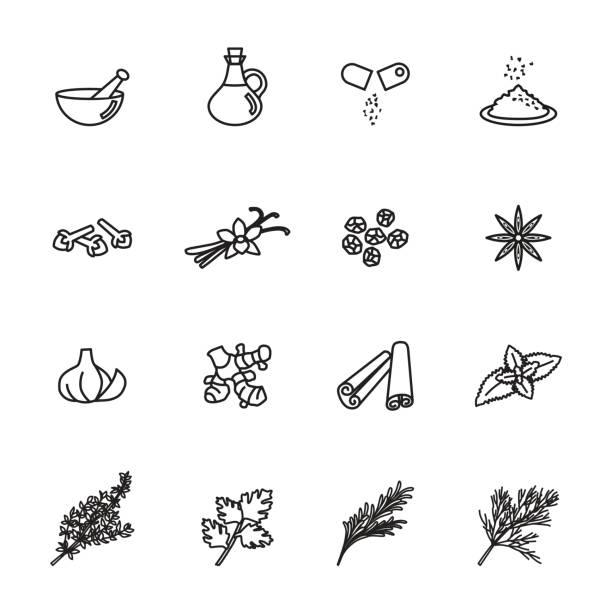 ilustrações, clipart, desenhos animados e ícones de conjunto de ícones de erva. vetor de estoque linha estilo. - herb cooking garlic mint