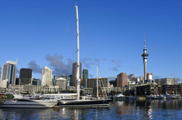 istock Auckland city skyline 820814144