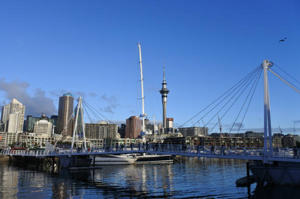 istock Auckland city skyline 820814182