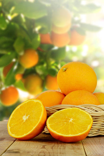 istock Fresh oranges fruit and blurred orange garden background. 820814572