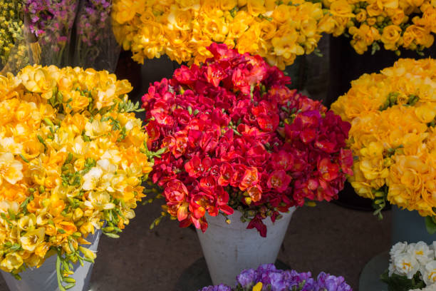 istock Colorful blooming   flowers in vase 820815046