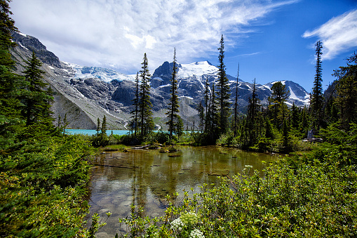A pond at Upper Joffre Lake in summer in Pemberton  near Whistler, BC, Canada