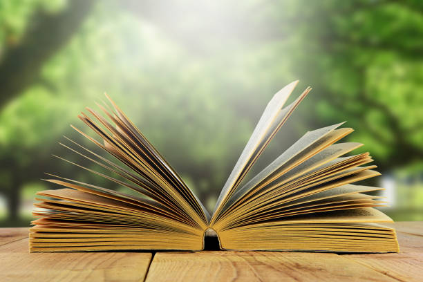 istock Open books and blurred garden background. 820816912