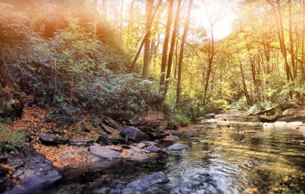 ruhige mountain river - blue ridge mountains appalachian mountains appalachian trail forest stock-fotos und bilder