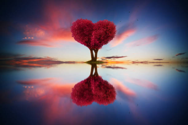 istock Abstract image of lonely red color leaf and love shape tree at sunrise scene with reflection in water. 820819796