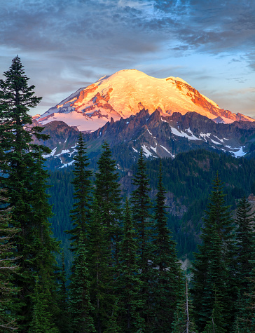 Mount Rainier at sunrise in Mount Rainier National Park, Washington, USA