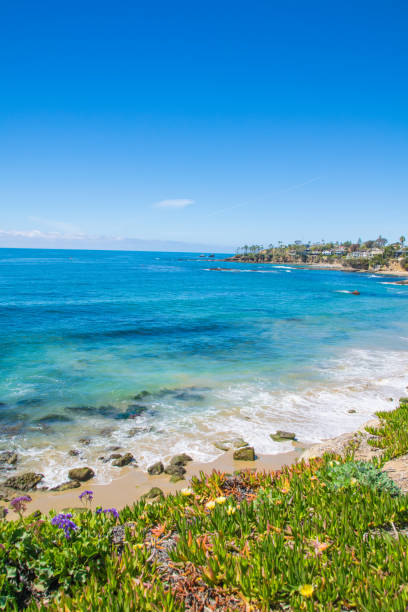 istock Beautiful Heisler Park, Laguna Beach, California 820821908