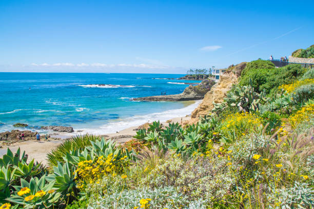 istock Beautiful Heisler Park, Laguna Beach, California 820822042