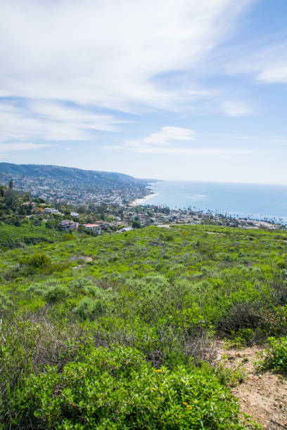 istock Beautiful Lush Laguna Beach, California 820826964