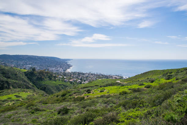 istock Beautiful Lush Laguna Beach, California 820827188