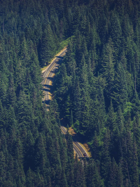 istock drive through Mount Rainier national park 820827654