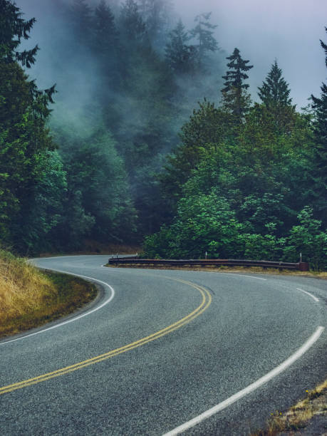 voyage de route sinueuse à travers la forêt tropicale de hoh dans le brouillard, washington - asphalt two lane highway natural phenomenon fog photos et images de collection