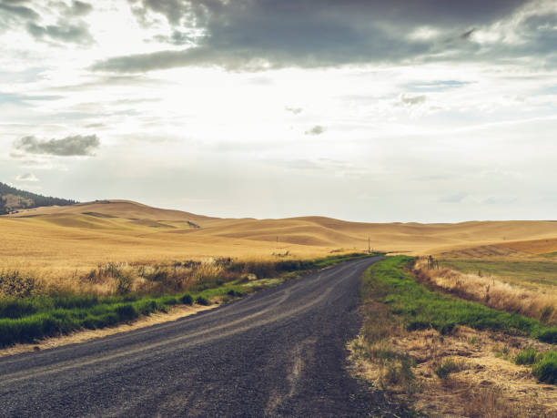 istock rural road through wheat fields of palouse 820829494