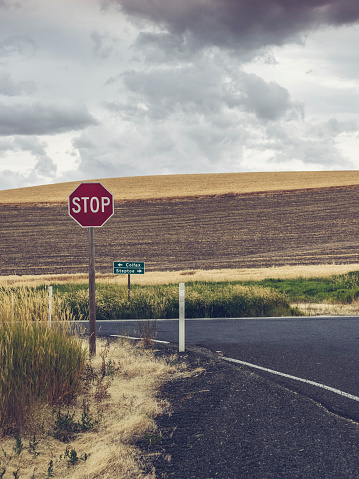 road with stop sign along roiling landscape,palouse,usa.