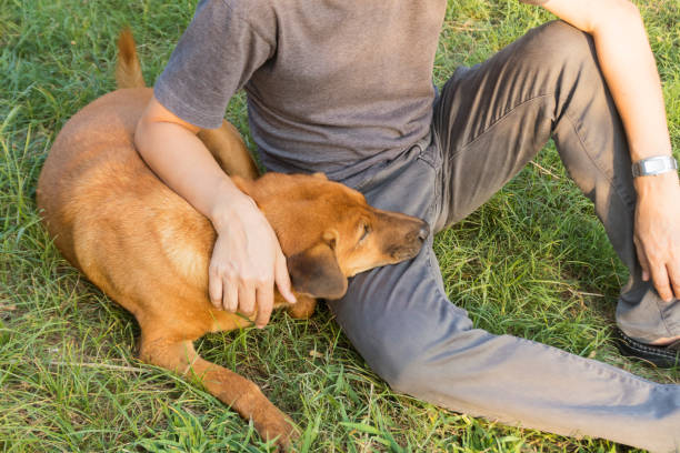 istock owner and his dog 820831824