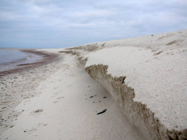 istock Stones and sand on the seashore. 820837116