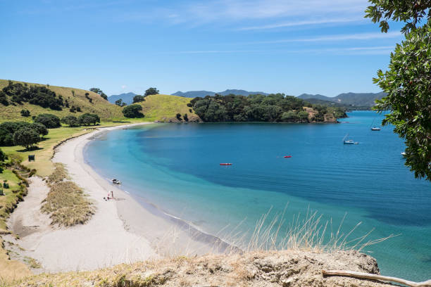 Holiday makers in summer on a secluded beach. Urupukapuka Island, Bay of Islands, New Zealand, NZ - February 1, 2017: Holiday makers in summer on a secluded beach. bay of islands new zealand stock pictures, royalty-free photos & images