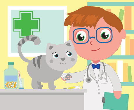 Ilustración de Oficina De Veterinario De Dibujos Animados Con Gato y más Vectores Libres de Derechos de Adulto - iStock Ilustración de Oficina De Veterinario De Dibujos Animados Con Gato y más Vectores Libres de Derechos de Adulto - iStock