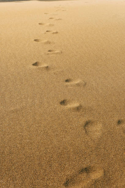 istock Footprints In The Sand Summer Beach Discovery Concept 820849762