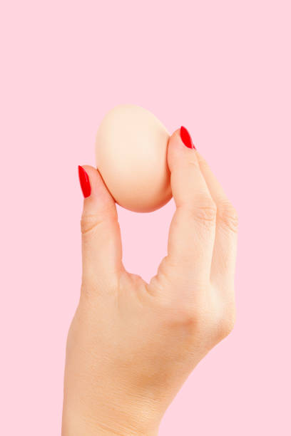 istock Female hand with red fingernails holding two eggs. 820854460
