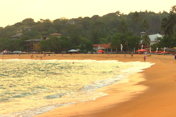 istock tropical beach in Sri Lanka 820856600