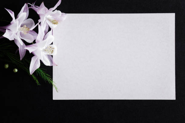 istock White blank condolence card with fresh flowers on the dark background. Empty place for a text. 820865998