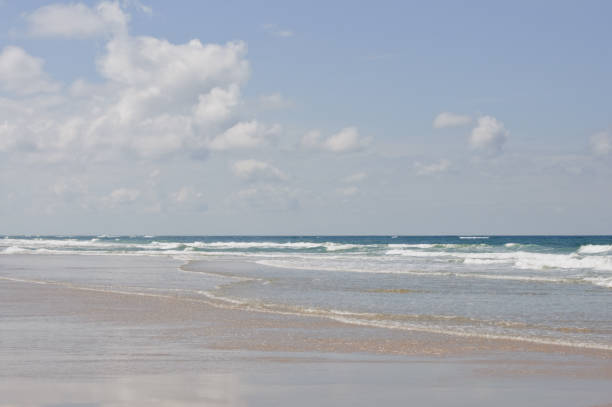 istock sand beach with sea view on a summer day 820866634