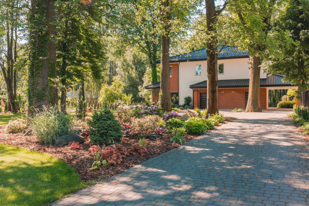 istock Garden walkway of summer house 820866638