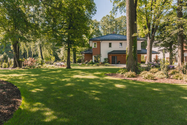 istock Sunny villa with garden patio 820866668