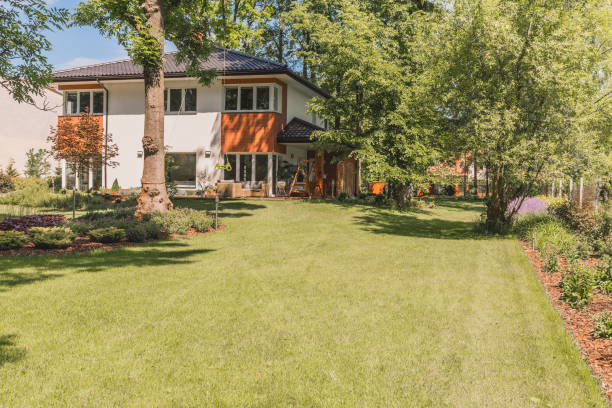 istock Sunny terrace, garden and lawn 820866720