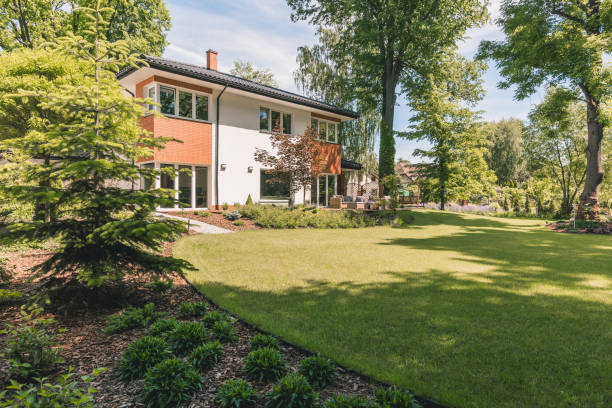 istock Sunny outdoor and green lawn 820866728