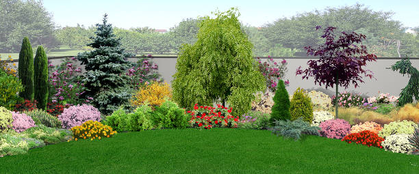 Natural grounds surrounding a home, 3d render Private yard landscaping integrated into the natural environment. forsythia garden stock pictures, royalty-free photos & images