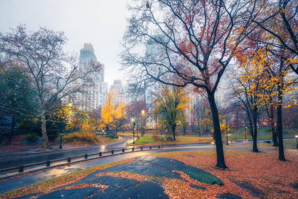 istock NY Central park at rainy morning 820870570