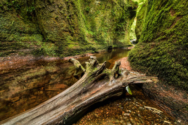 istock Glen Finnich in Scotland 820879468